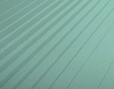 Zoom_Streifen_Ocean